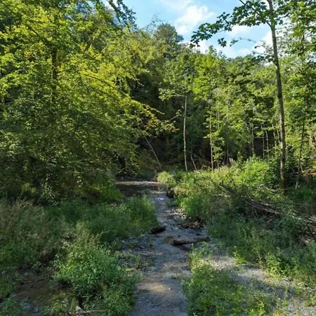 Nature Escape In Nafraiture, Cleaning Included Holiday home